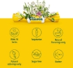 Picture of Ricola Original Natural Herb Cough Drops, 21 Drops