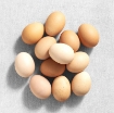 Picture of Cage Free Medium Brown Eggs Grade AA 20Cts Local