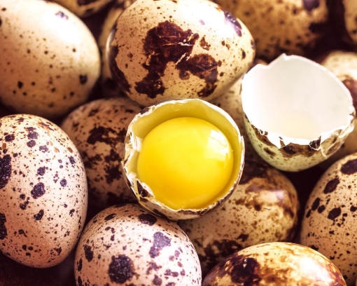 Picture of Jong's Fresh Quail Eggs 15ct All Natural