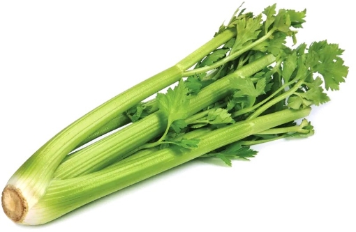 Picture of Celery-Can My per lb