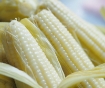 Picture of JayOne Boiled Corn (Bap Hap Chin) Frozen 2 Pieces