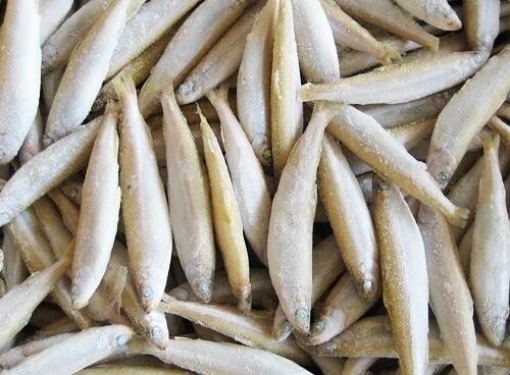 Picture of Smelt Fish Per lb (Ca Long Tong Co Dau)