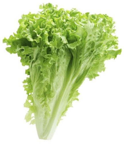 Picture of Green Leaf Lettuce Each