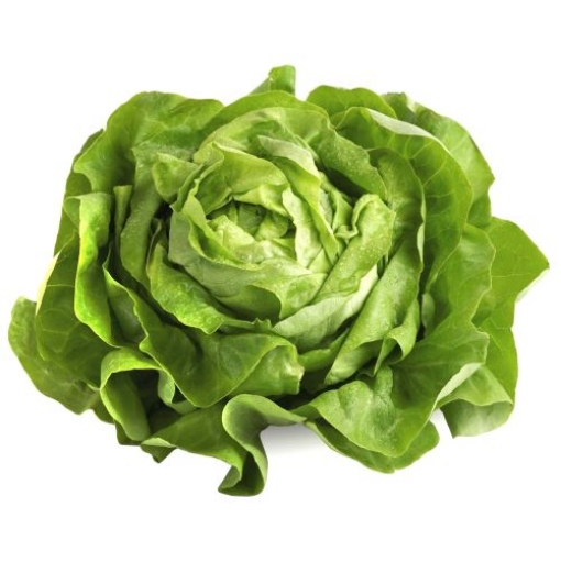 Picture of Butter Lettuce (Sa Lach Da Lat) Each