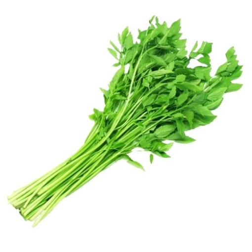 Picture of Cute Celery (Can Nuoc) per lb